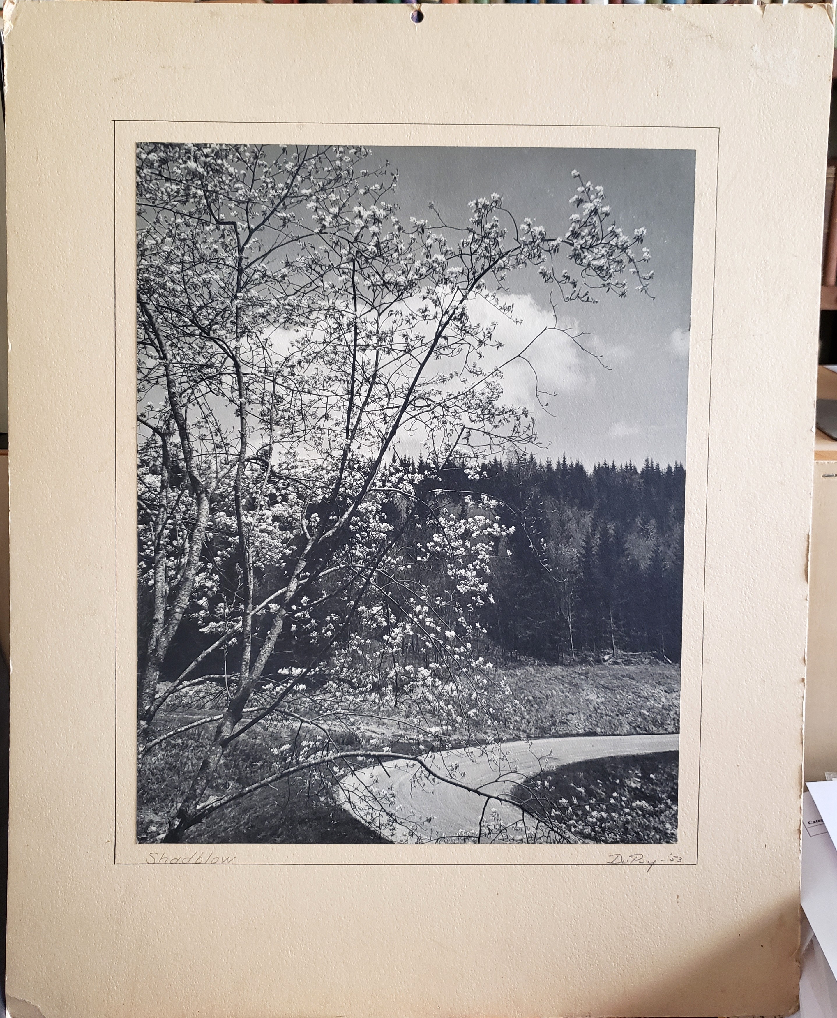 Image for Original Silver Gelatin Photograph - Original Silver Gelatin Photograph -